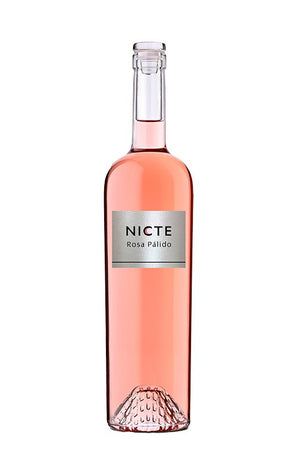 Nicte 2024