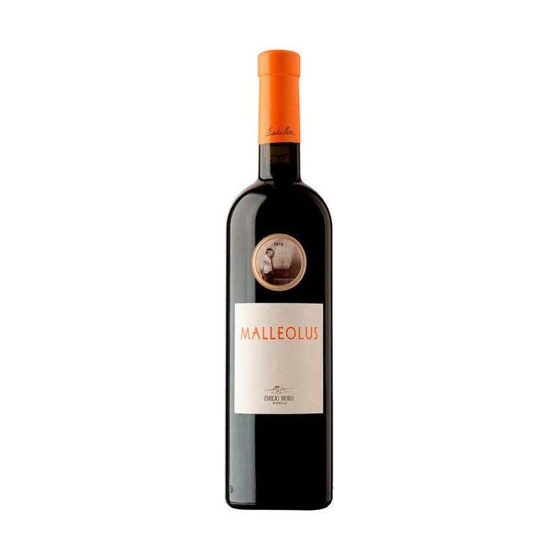 Magnum Malleolus 2021 - En Copa de Balón