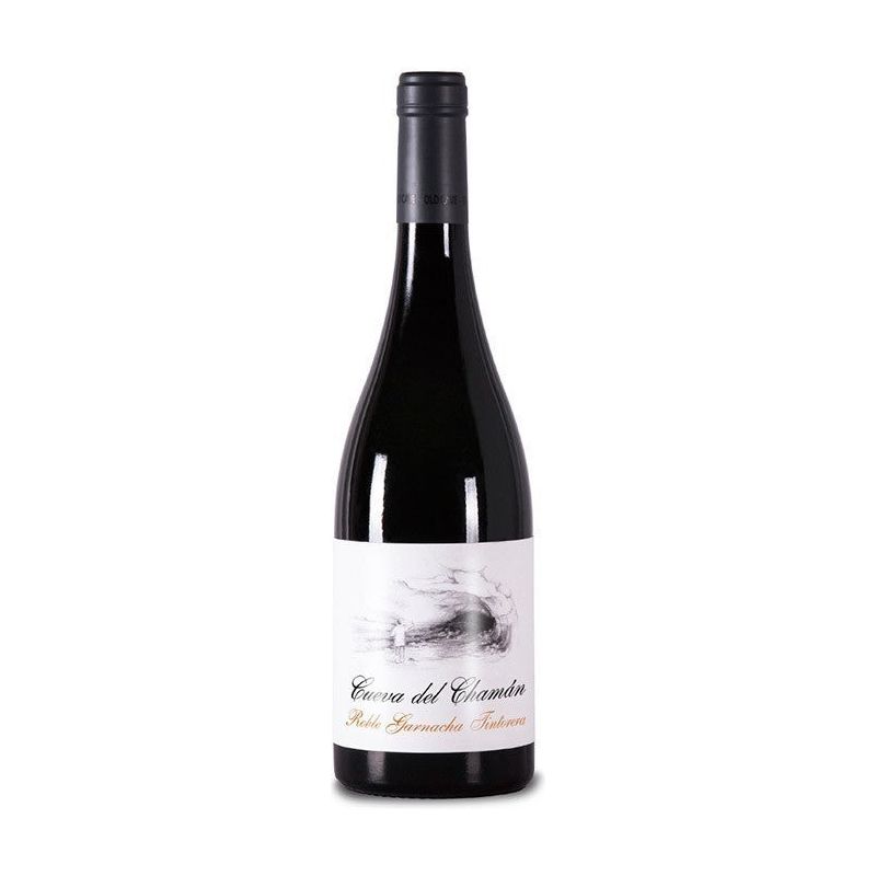 Cueva del Chamán 2023 - En Copa de Balón