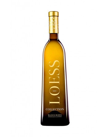 Loess Collection Rueda 2021