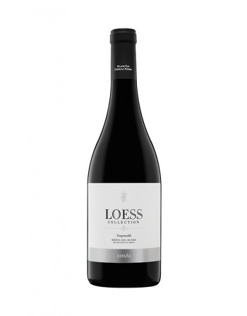 Loess Collection Tinto 2020