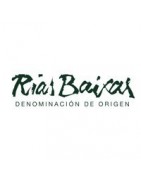 Buy wines with Appellation of Origin Rías Baixas at the best price