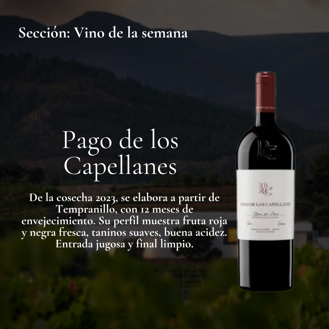 Vino de la Semana 10.08.2026 -  Pago de los Capellanes Crianza