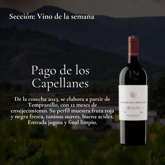 Vino de la Semana 10.08.2026 -  Pago de los Capellanes Crianza