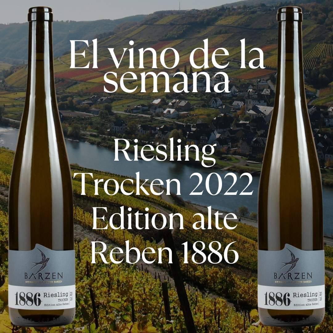 VINO DE LA SEMANA 01.09.25 BARZEN RIESLING TROCKEN ALTE REBEN 1886