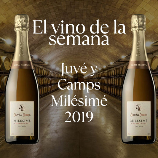 Vino De La Semana 20.10.25 Juvé y Camps Milésimé 2019
