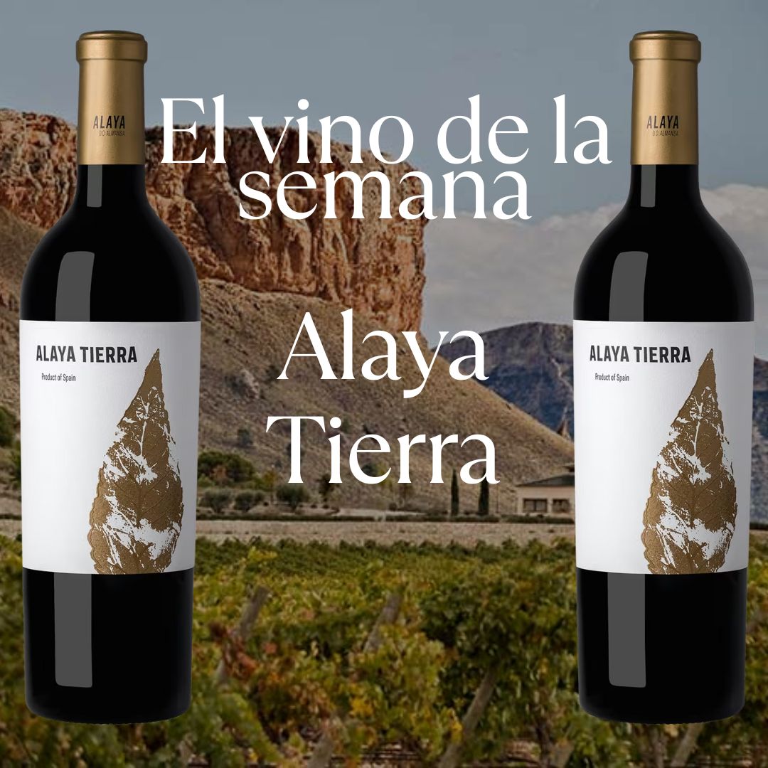 Vino de la semana. Alaya Tierra. 03.11.2025
