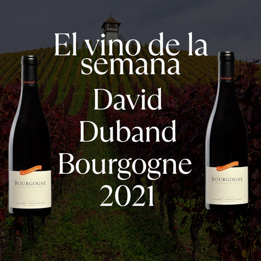 Vino de la semama 09.02.2026 - David Duband Bourgogne 2021