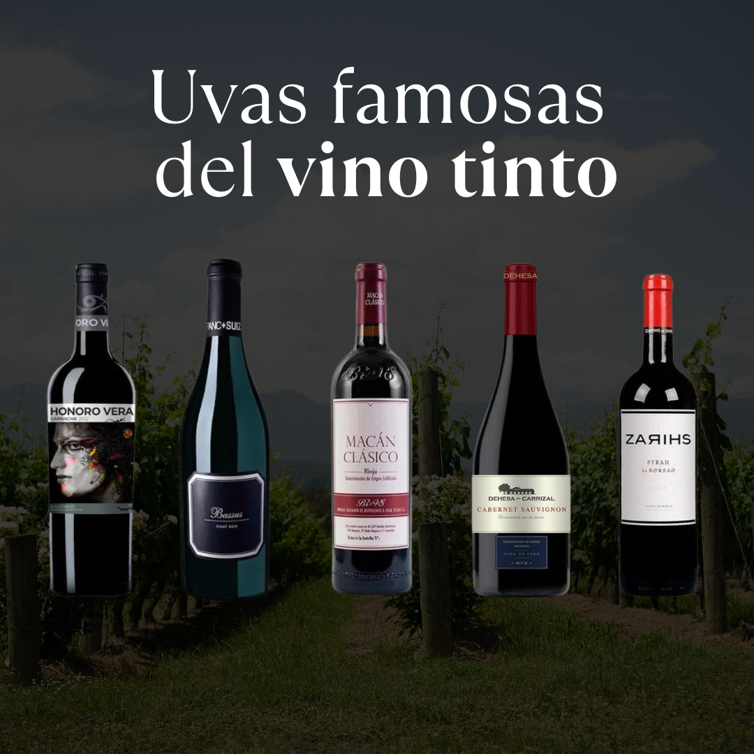 Tipos de Vino Tinto: Guía Completa con las Variedades que Debes Conocer