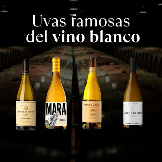Tipos de Vino Blanco: Guía Completa de Variedades y Estilos