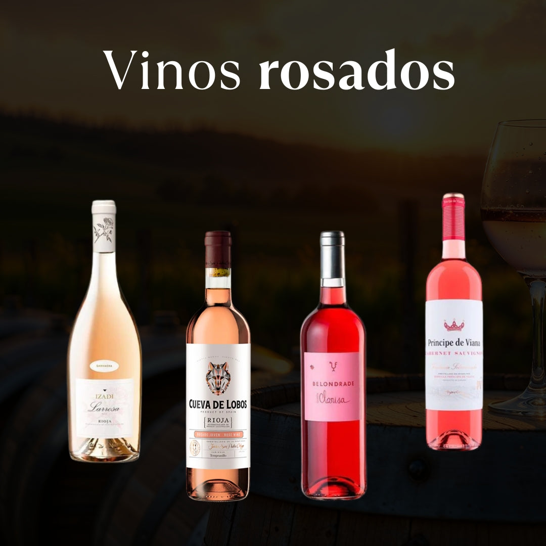 Vino Rosado: Guía Completa de Estilos y Sabores