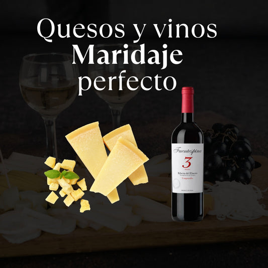 Maridaje de Queso y Vino: Combinaciones Perfectas