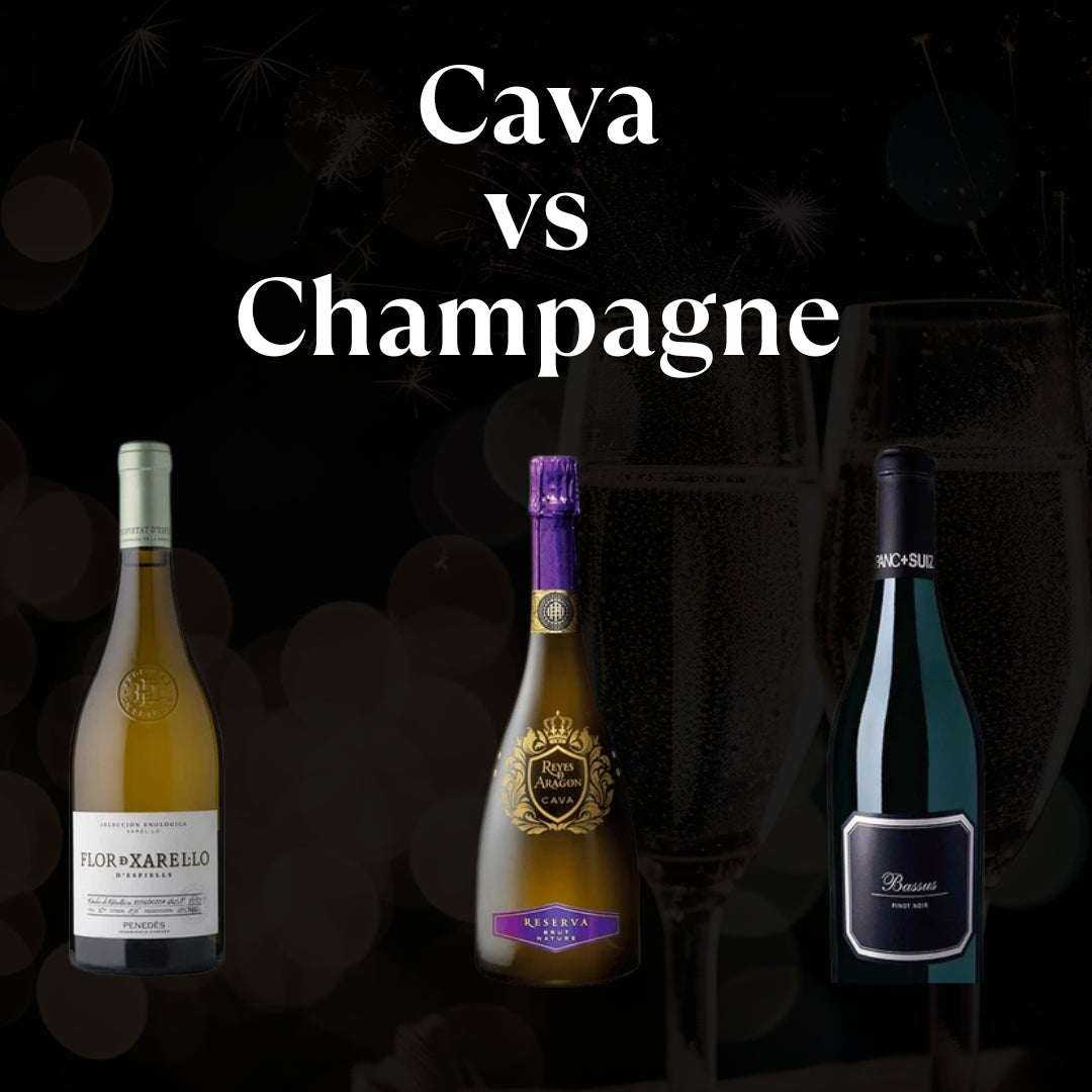 Champagne vs Cava: Diferencias y Cuál Elegir