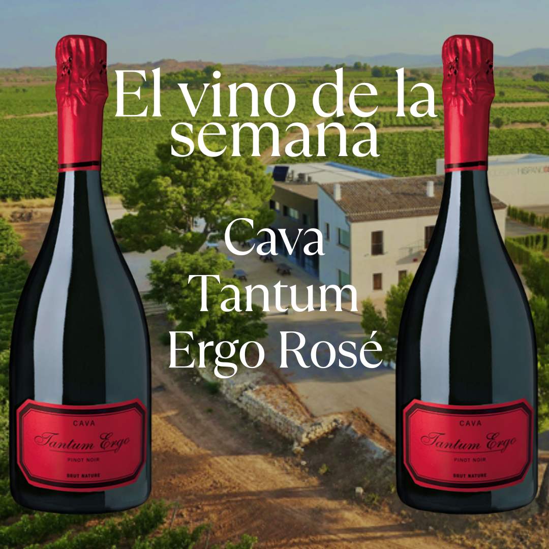 Vino de la semana 04.08.25 Tantum Ergo Rosé