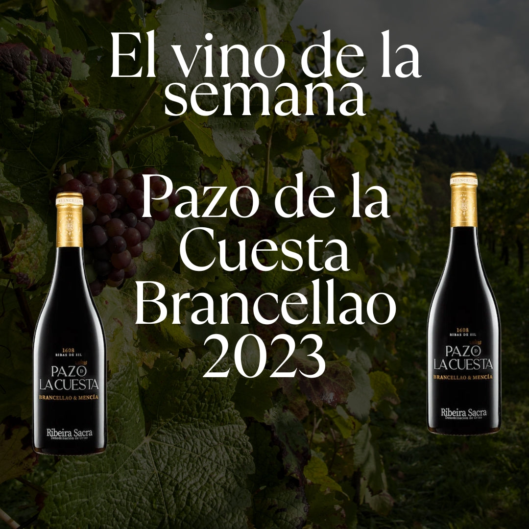 Vino de la semana 08.06.2026 - Pazo de la Cuesta Brancellao 2023