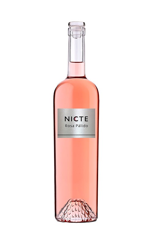 Nicte 2024 - En Copa de Balón
