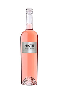 Nicte 2024 - En Copa de Balón
