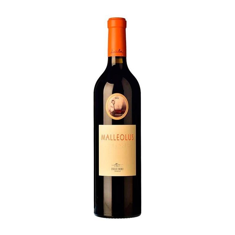 Malleolus 2022 - En Copa de Balón