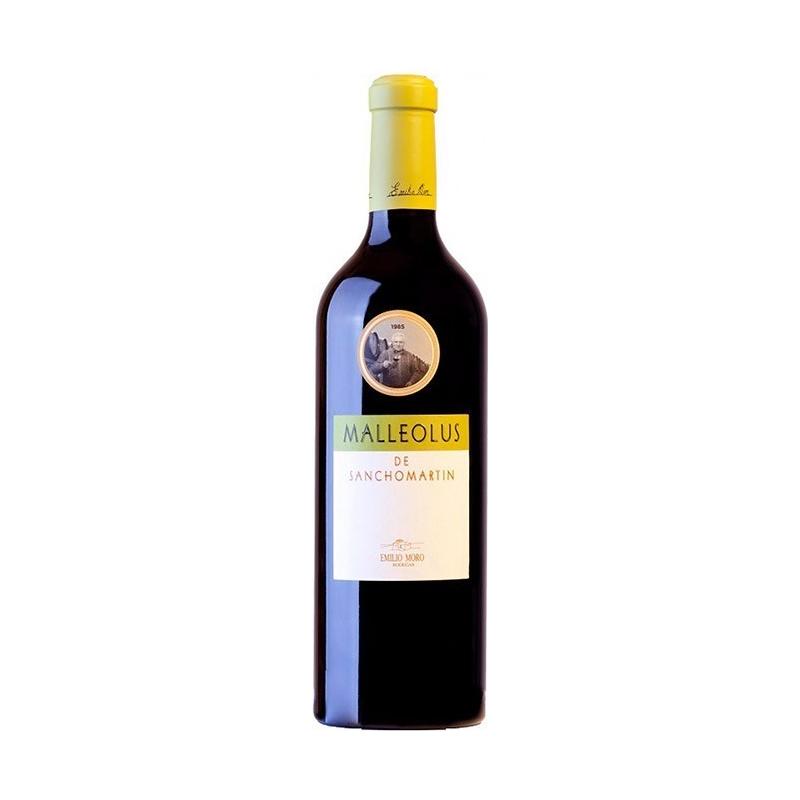 Malleolus De Sancho Martín 2019