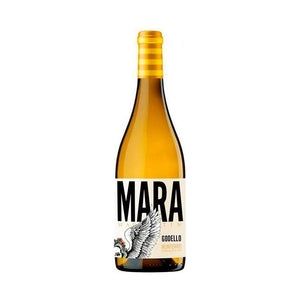 Mara Martín Godello 2025