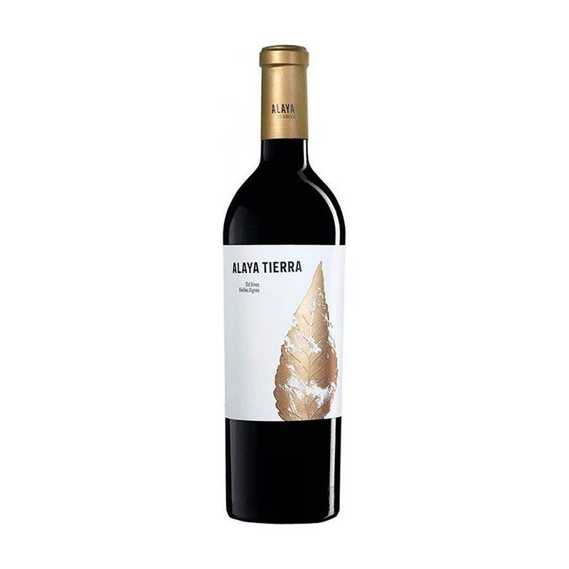 Alaya Tierra 2022 - En Copa de Balón