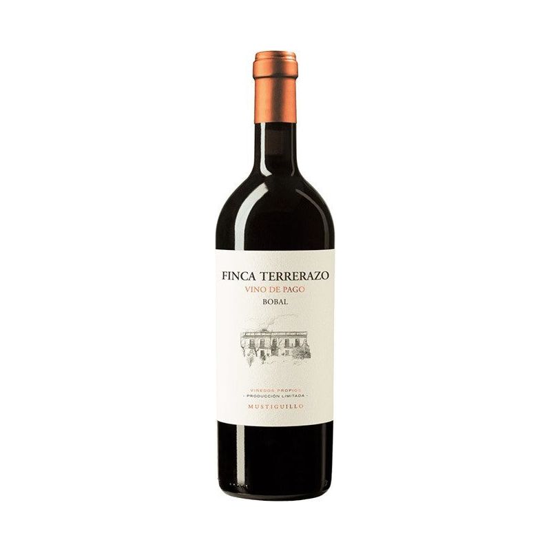 Finca Terrerazo 2022 - En Copa de Balón