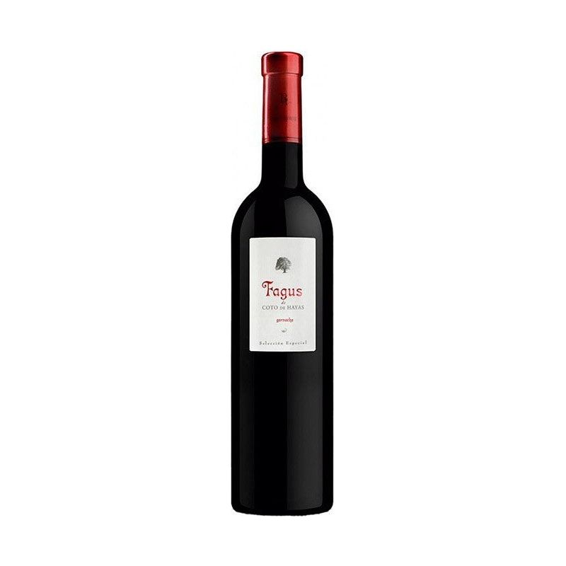 Magnum Fagus 2022 - En Copa de Balón
