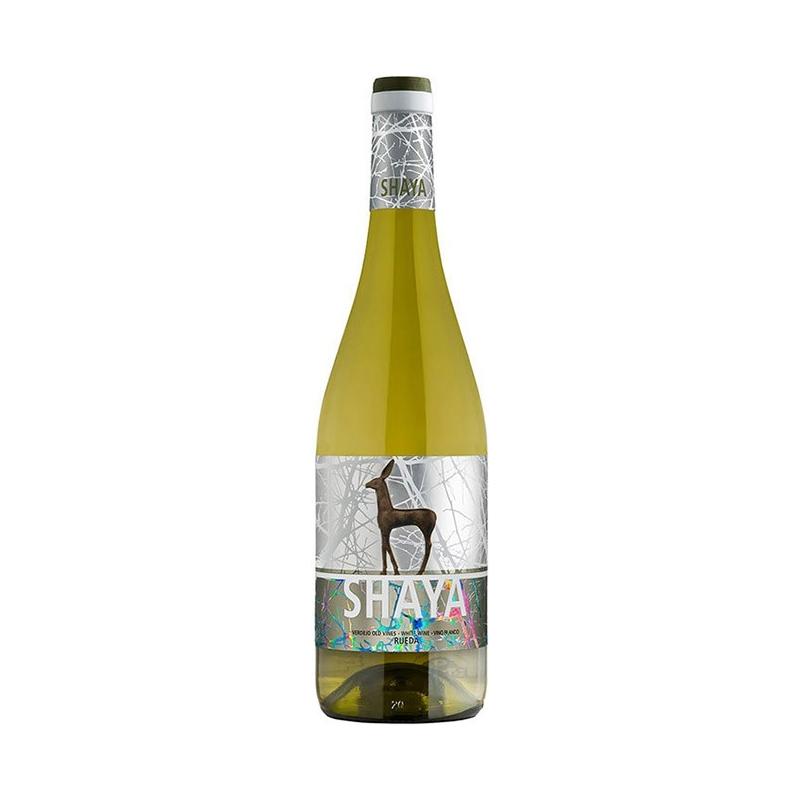 Shaya 2023 - En Copa de Balón