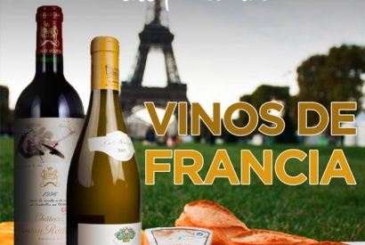 Descubre los Vinos Franceses
