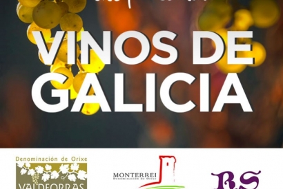 Vinos Gallegos