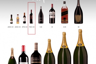 Tamaños y Formas de las Botellas de Vino