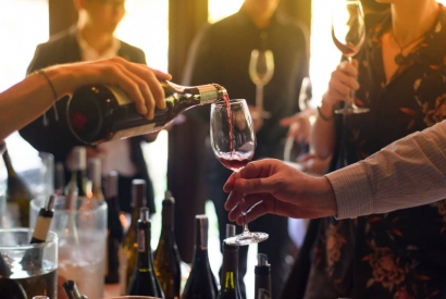 10 vinos que debes probar para saber de vinos